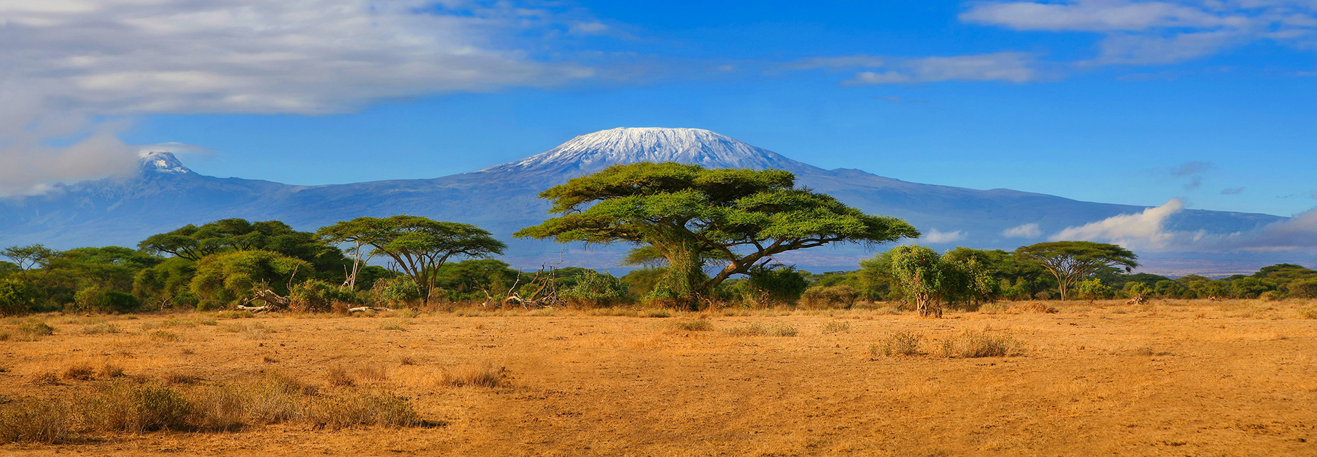 Kilimanjaro Mountain, Tanzania, Africa