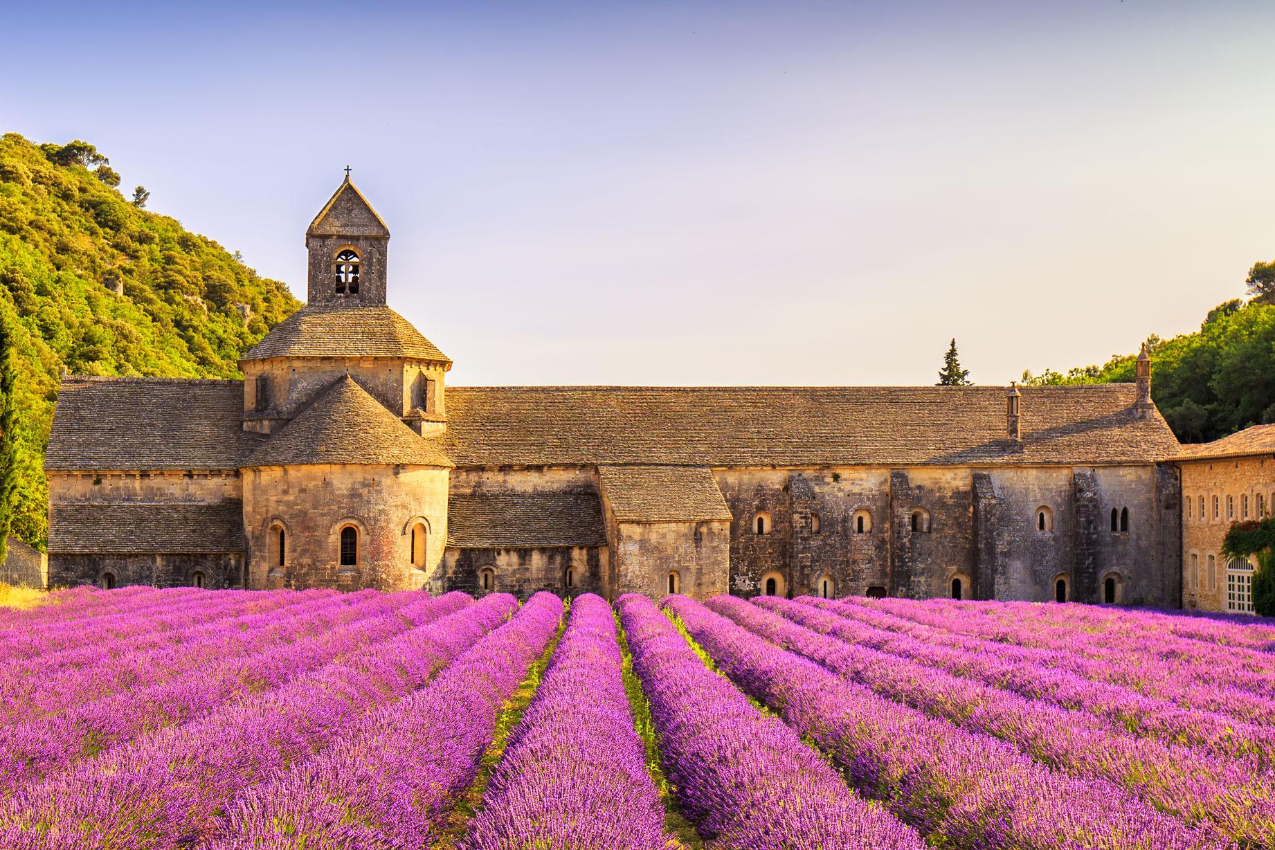 View of lavender fields at Senanque monastery with France vacation packages