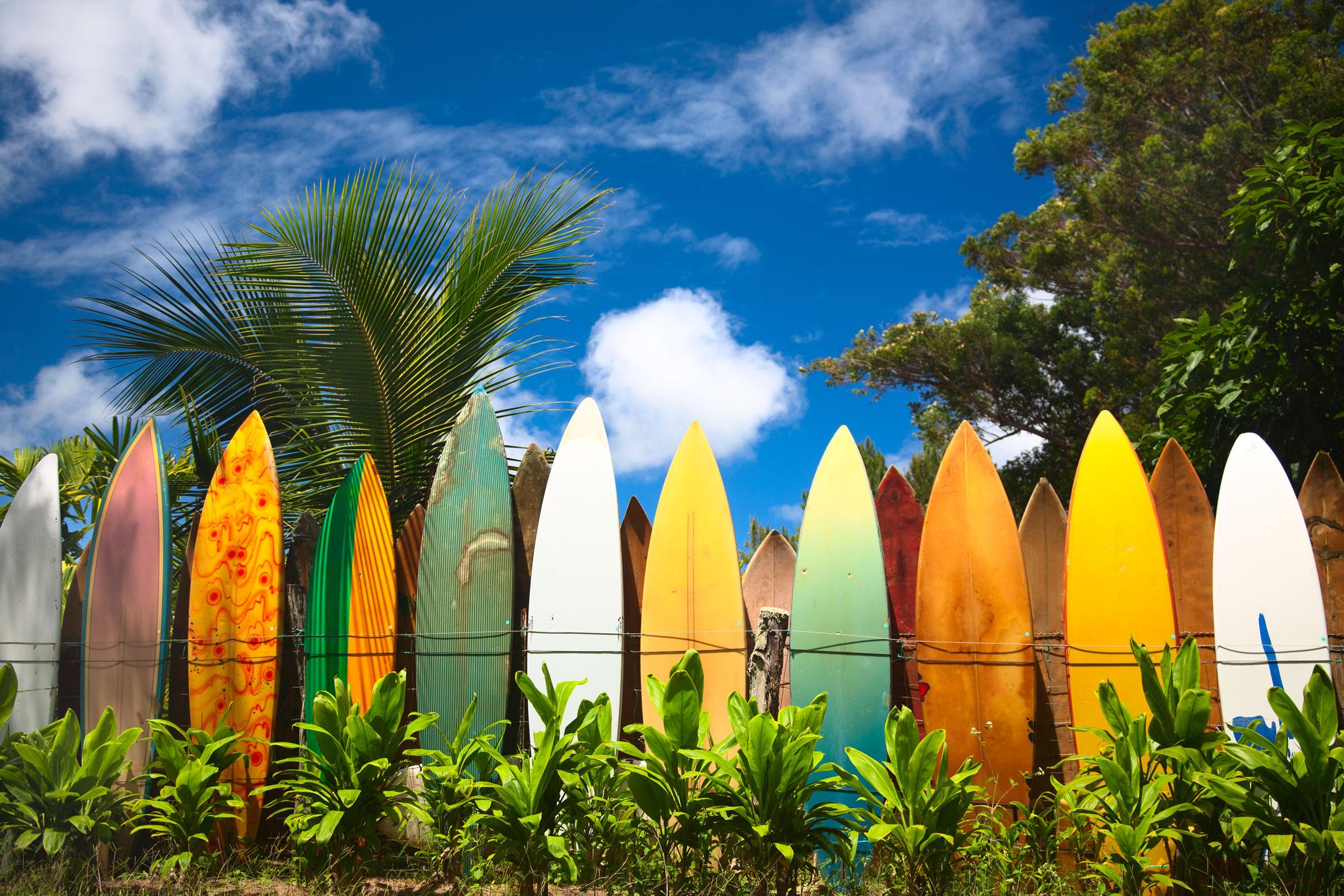 Experience the surf culture on your Hawaii vacation