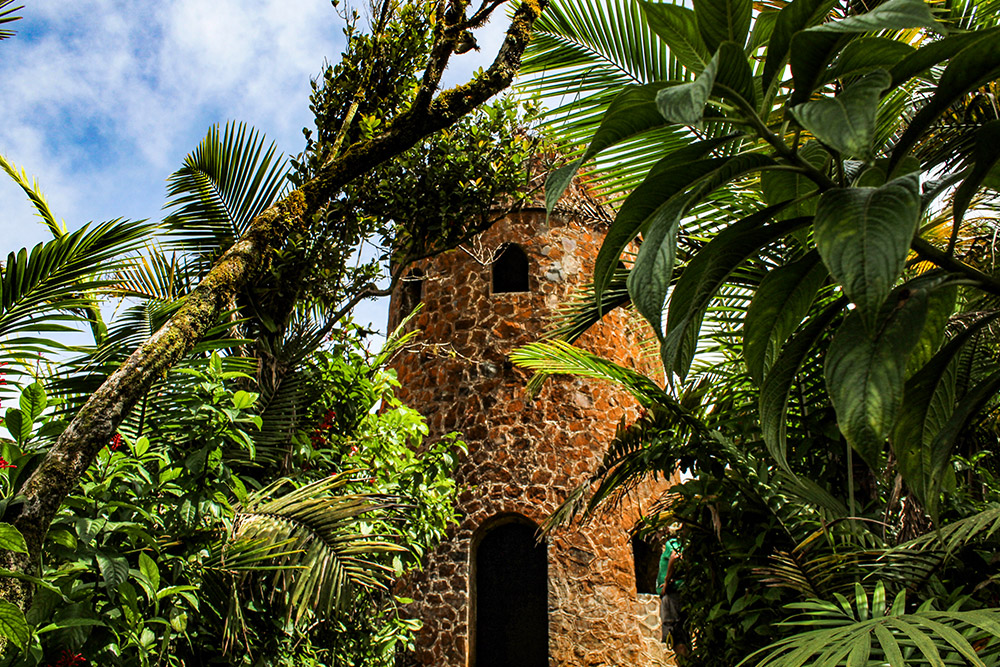 Puerto Rico tropical landscape