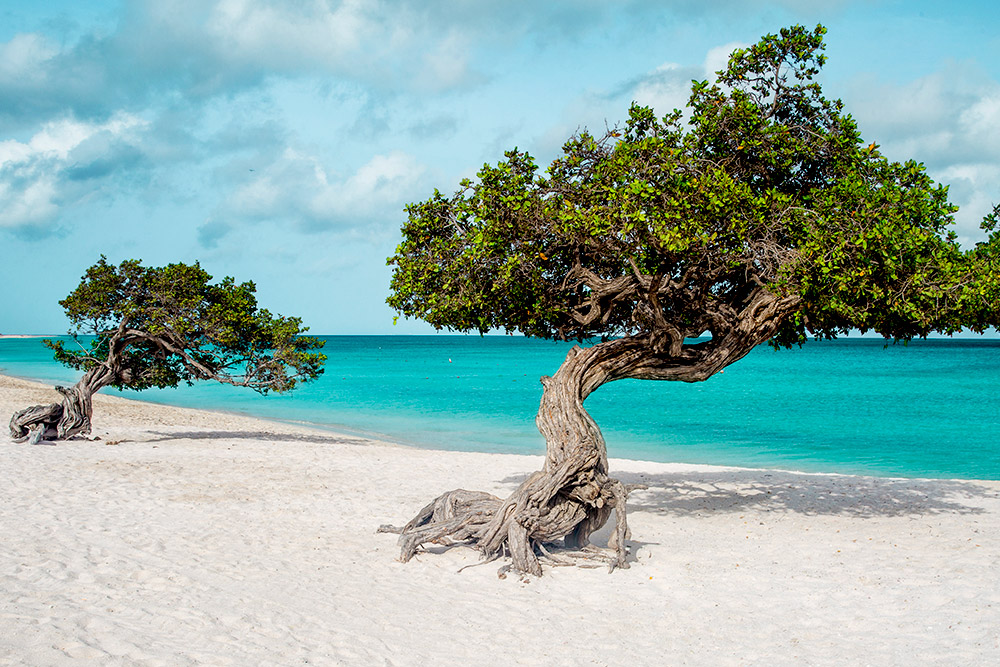 Beach in Aruba