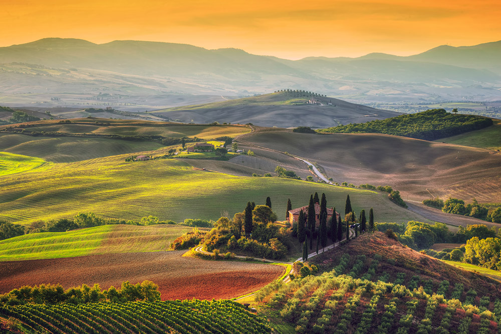 Sprawling fields and vineyards of Italy