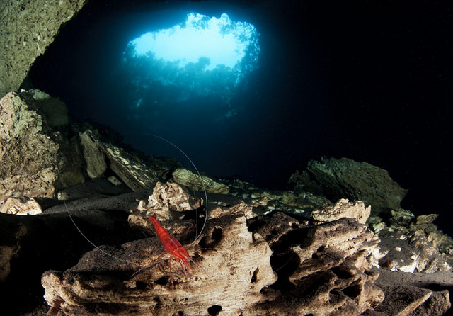 The blue holes of The Bahamas