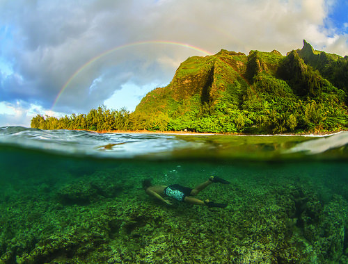 Swim in Hawaii
