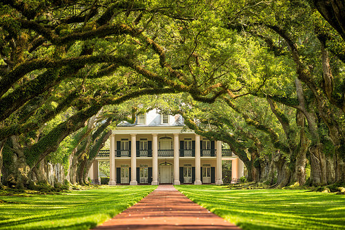 The stunning Oak Alley Plantation