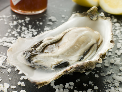 Oyster