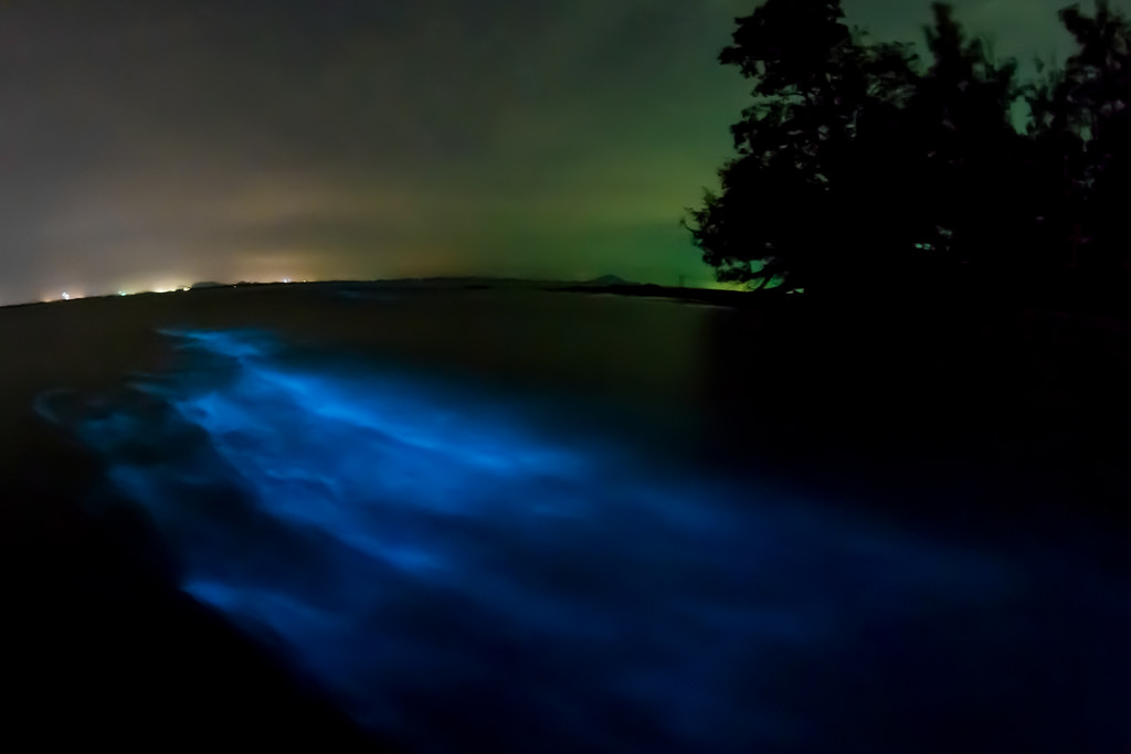 Bioluminescent Bay, Laguna Grande