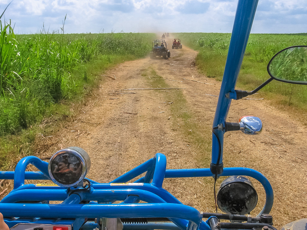 Buggy Adventure