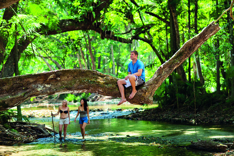 Daintree National Park