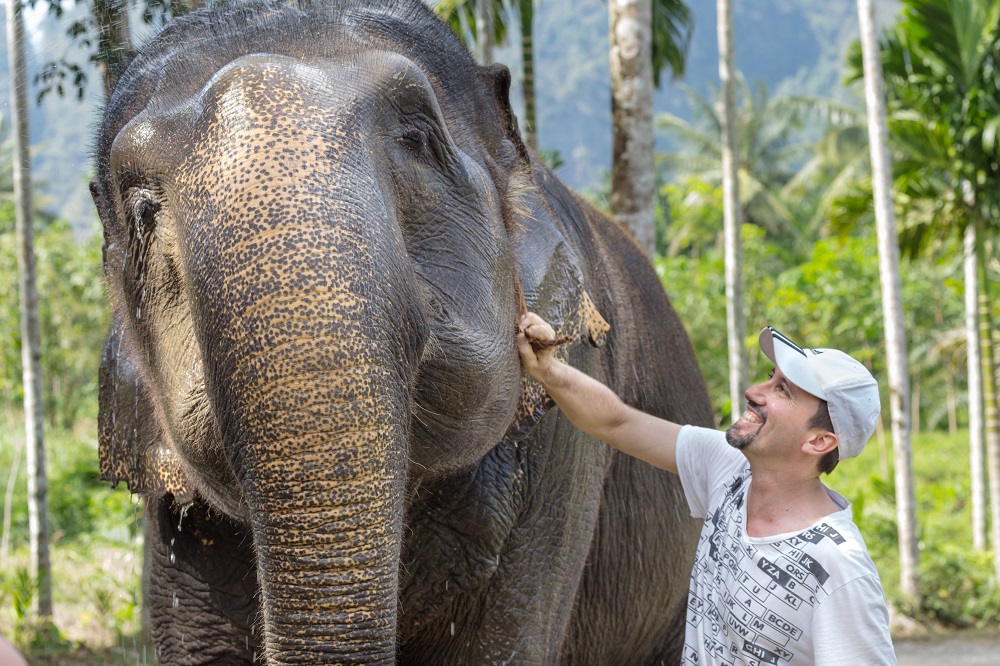 Elephant Hills – Khao Sok National Park, Thailand