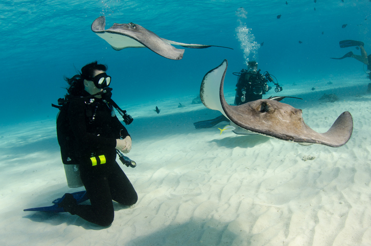 Ocean Enthusiasts – Grand Cayman