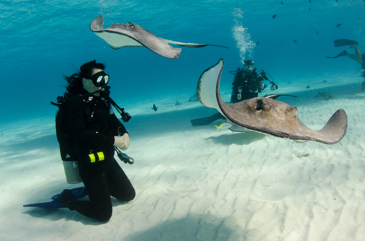 Ocean Enthusiasts â Grand Cayman