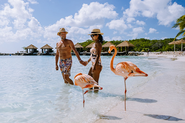 Couple standing amongst the flamingos at Aruba's Flamingo Beach