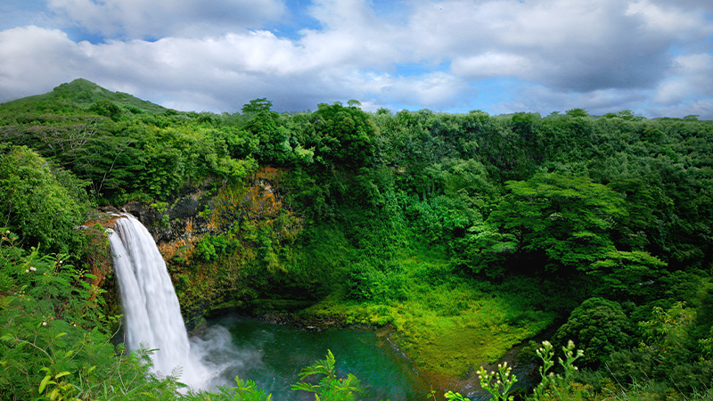 Kauai