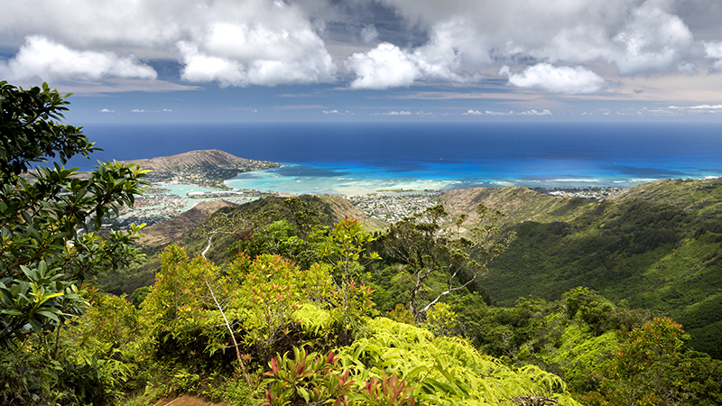 Oahu