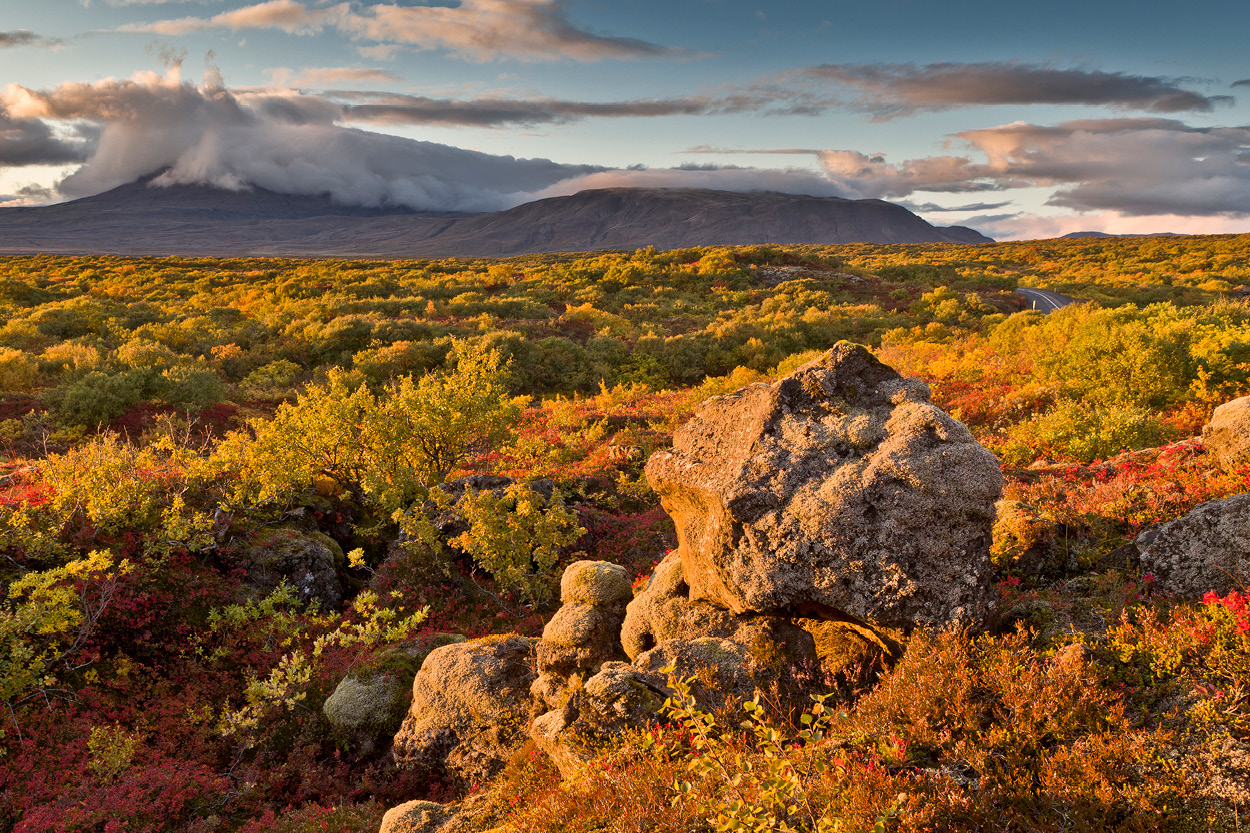 Iceland