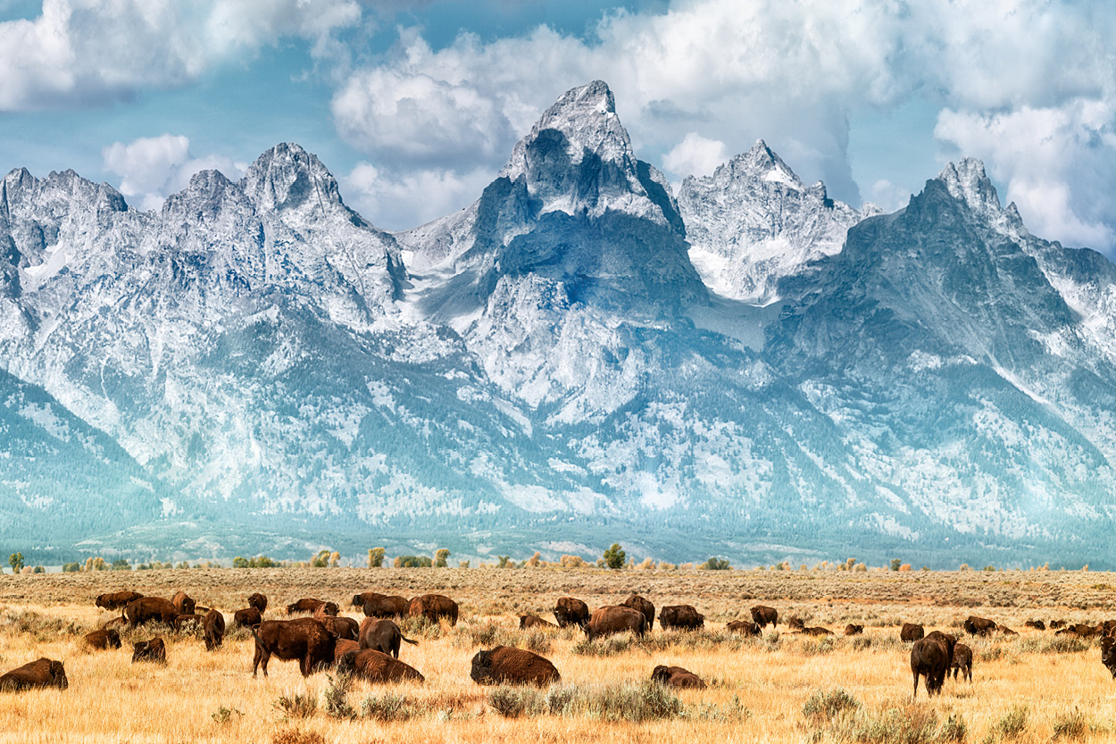 Jackson Hole