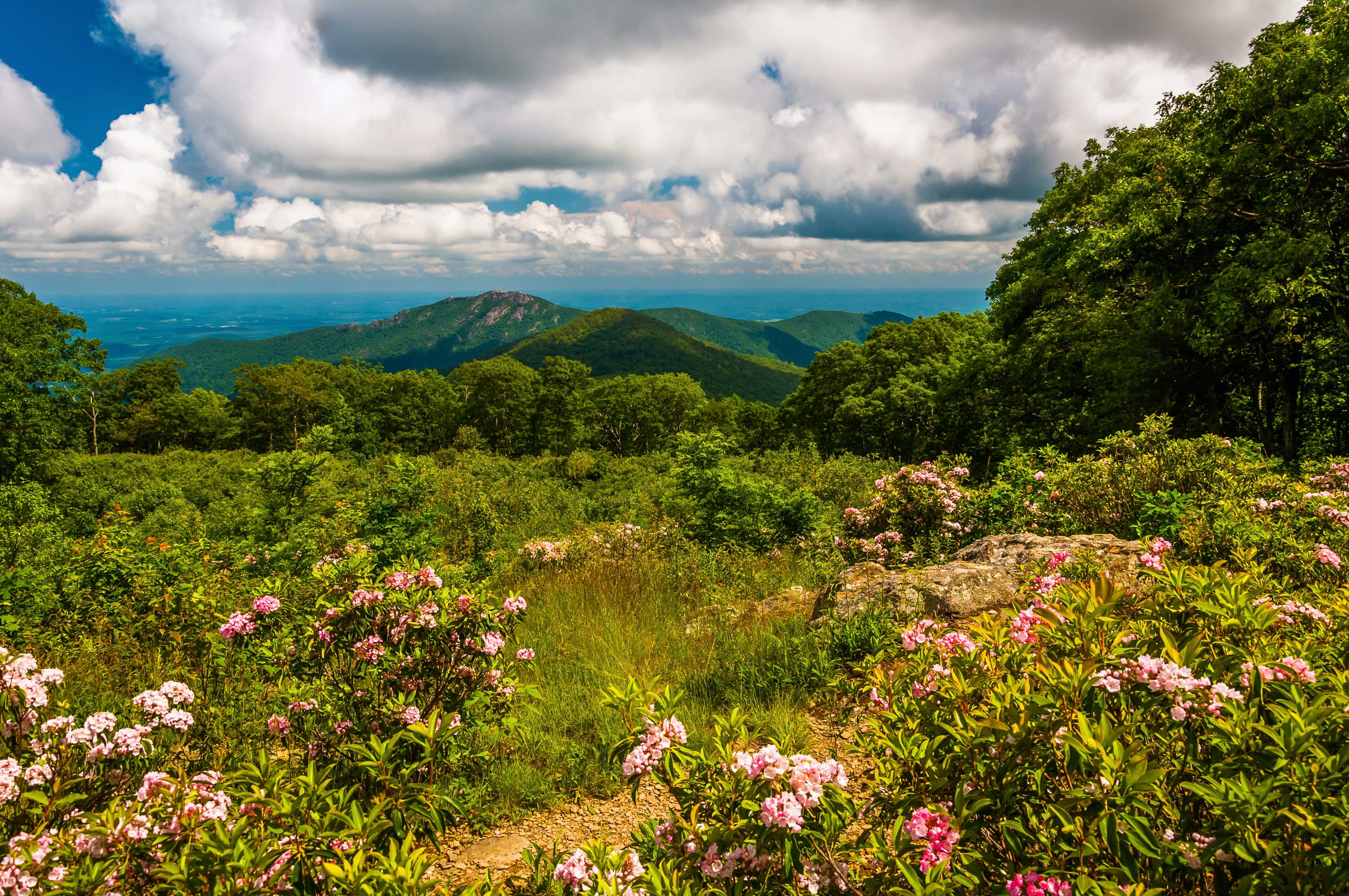 East Coast Hikes Worth Exploring Liberty Travel