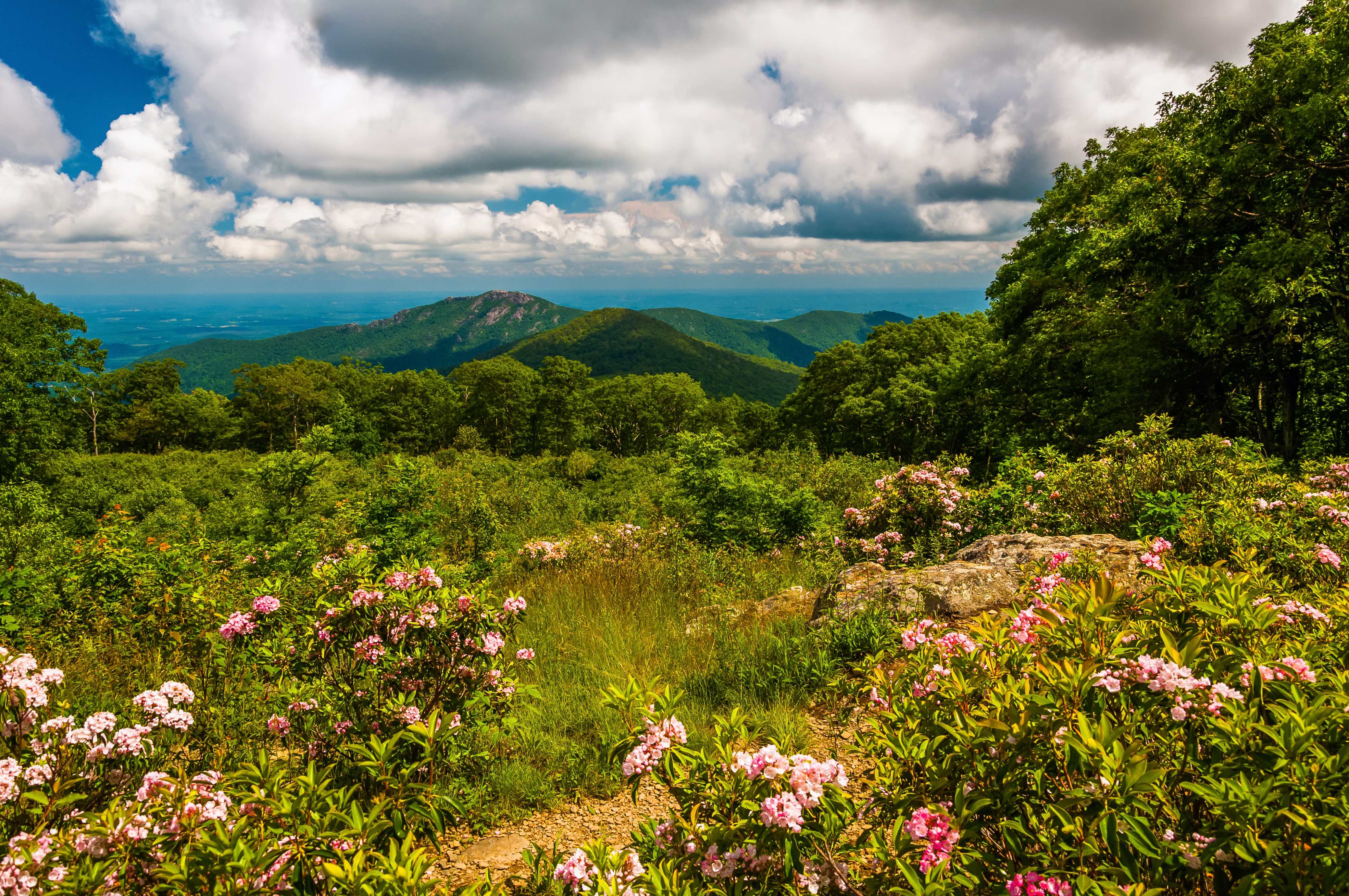 Old Rag