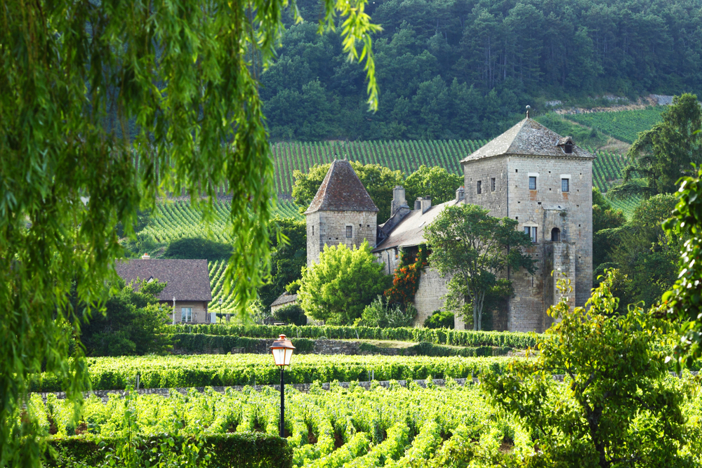 French Winery 