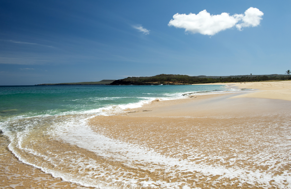 Molokai's Papohaku Beach