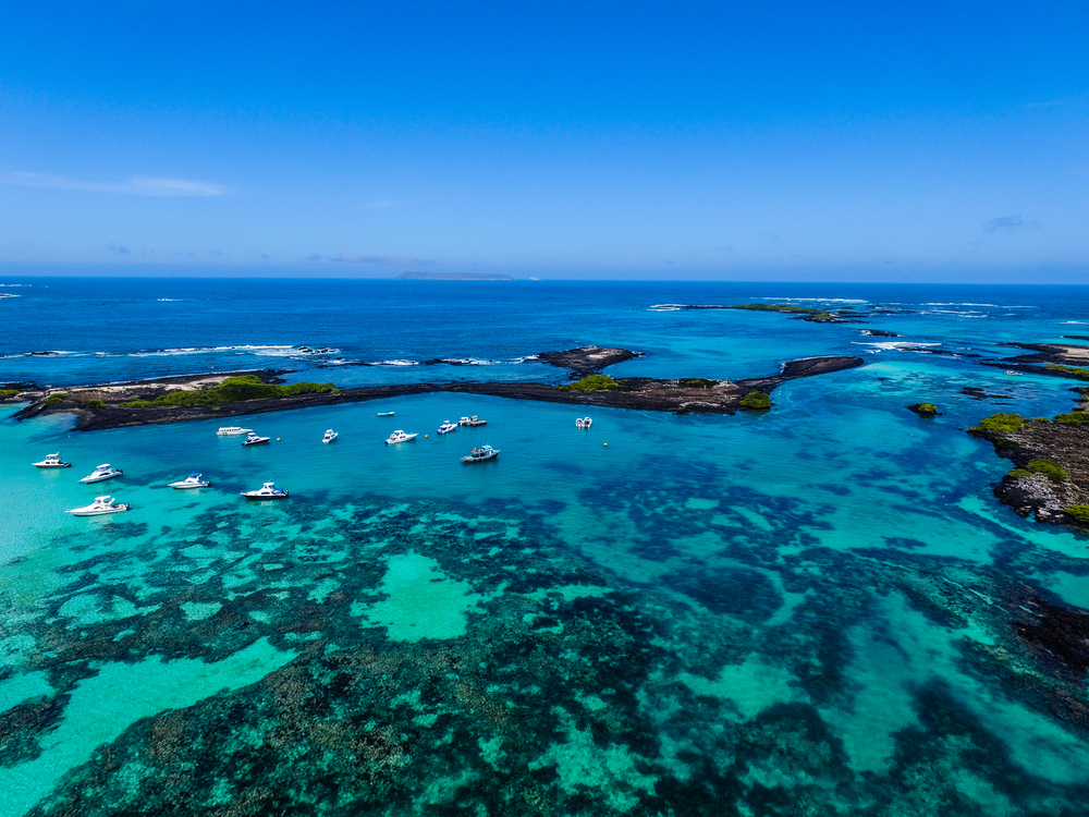 Galapagos