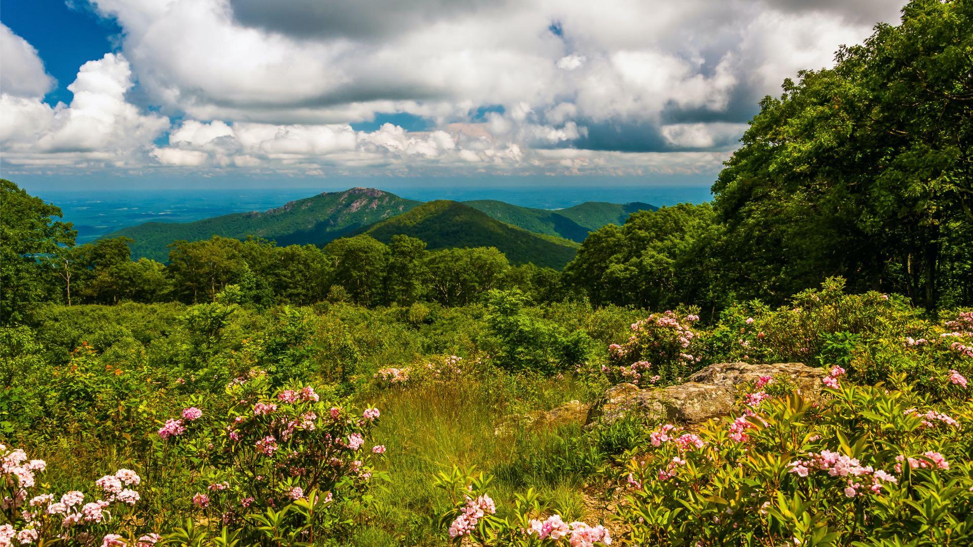 fiber Hver uge Vælge East Coast Hikes Worth Exploring | Liberty Travel