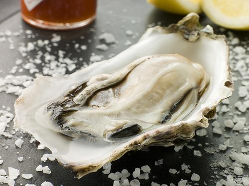 Oyster