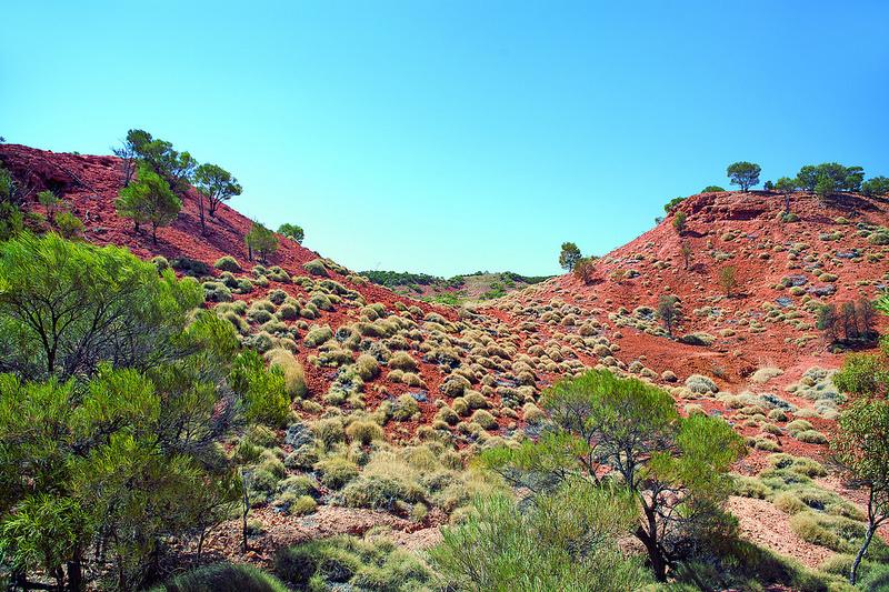 The Outback