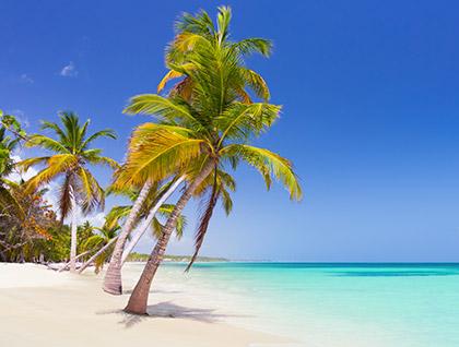 Caribbean beach vibes