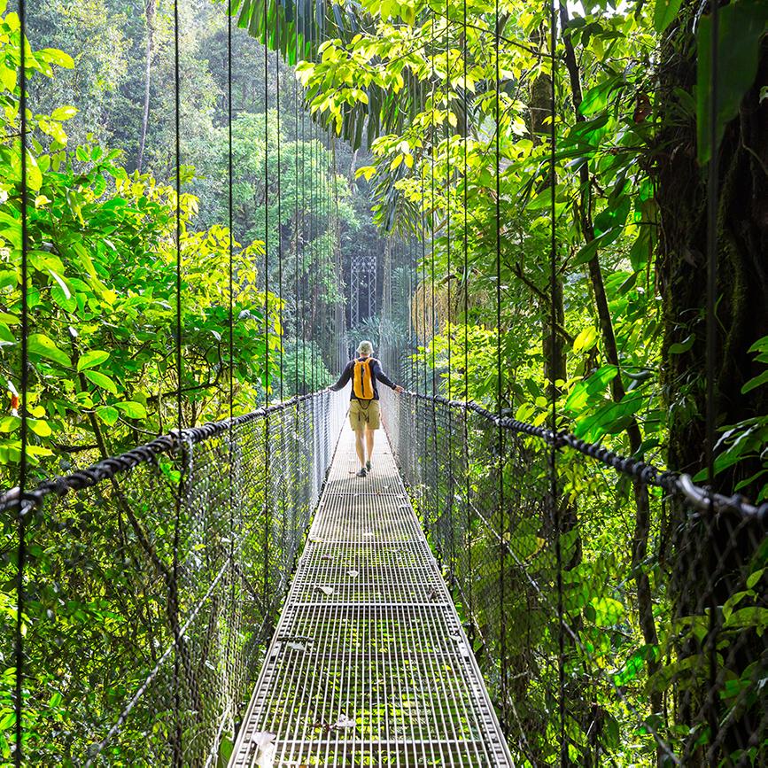 Walking along a suspension bridge through the rainforest on a Costa Rica tour