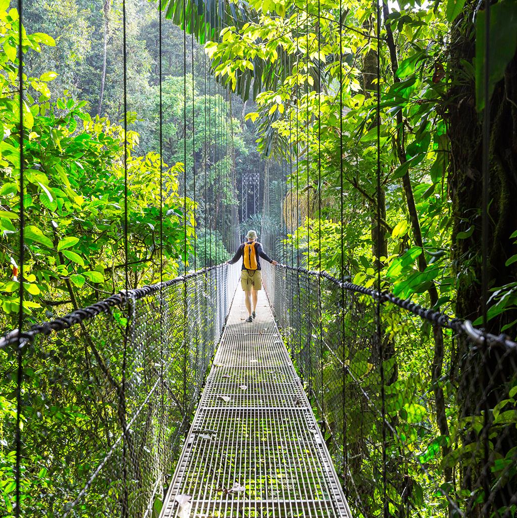 Experience walking along suspension bridges in the Costa Rican rainforest