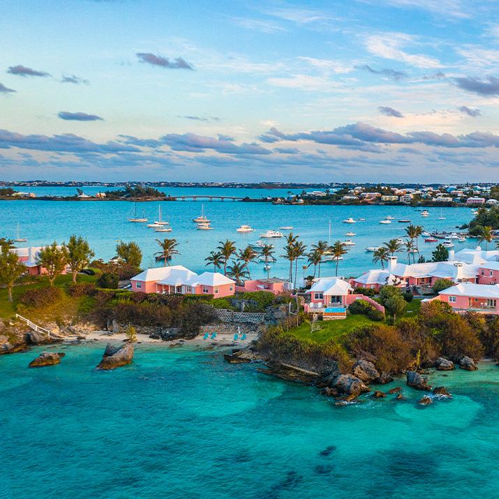A tropical view