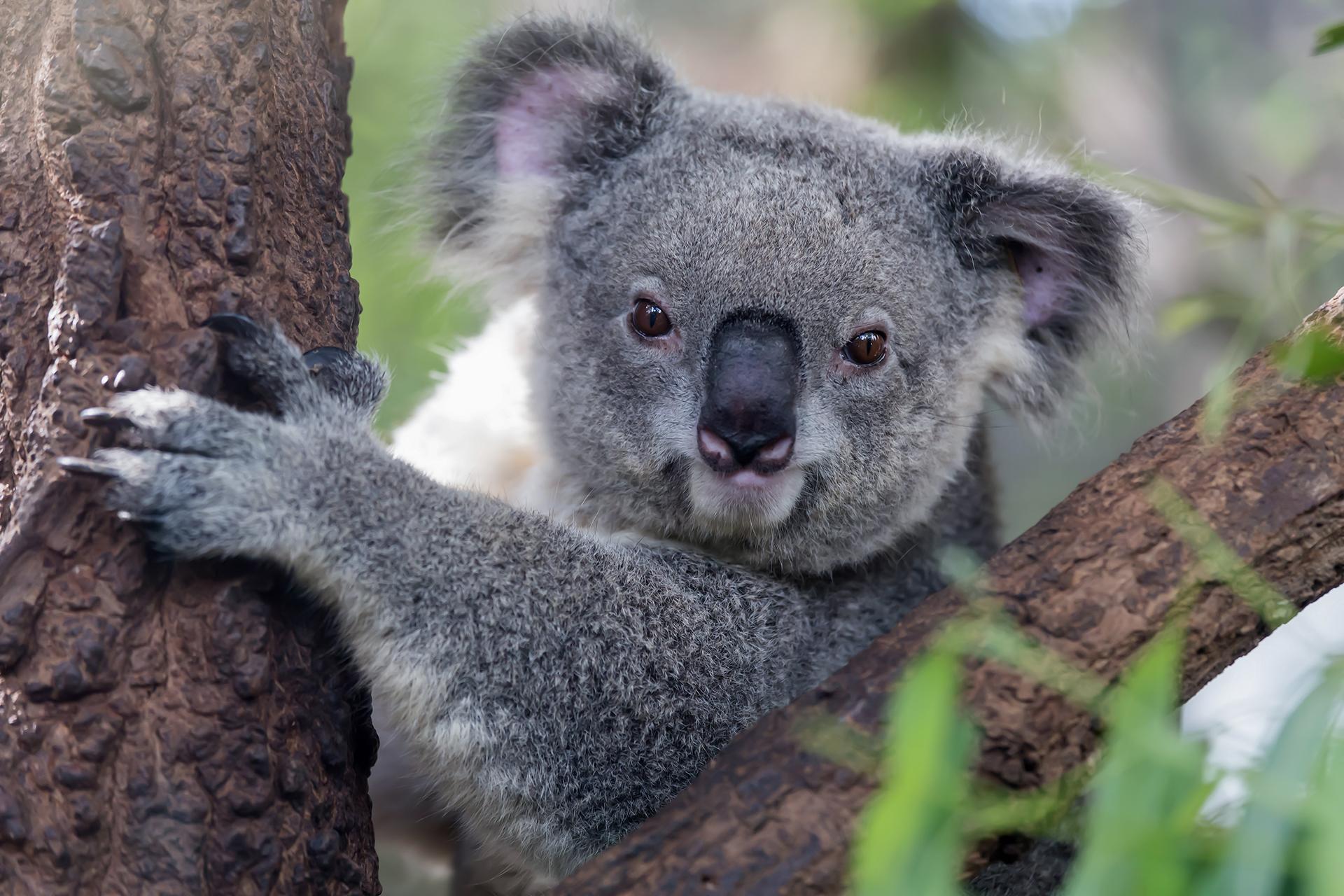 6 Must-See Spots in Queensland, Australia