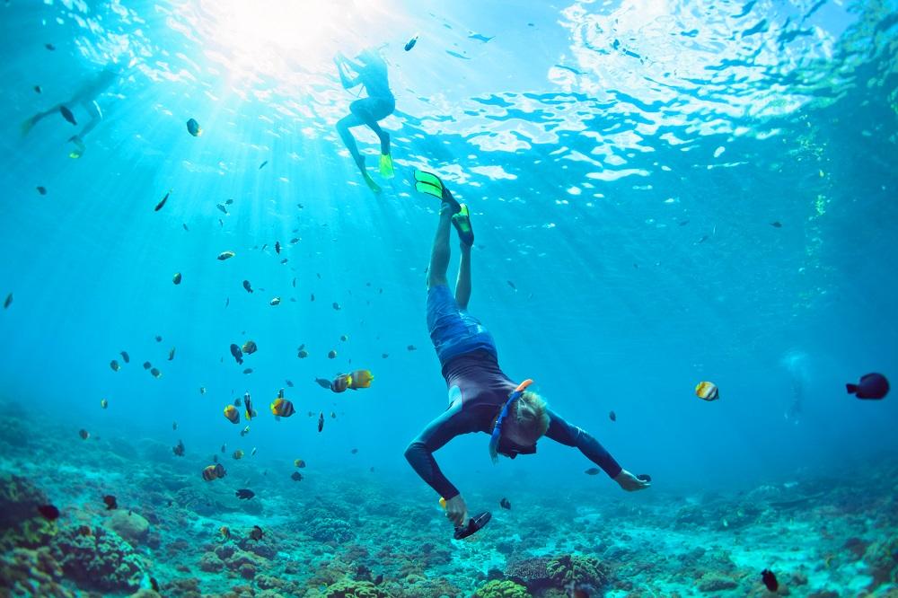 Snorkeling in St. Kitts & Nevis