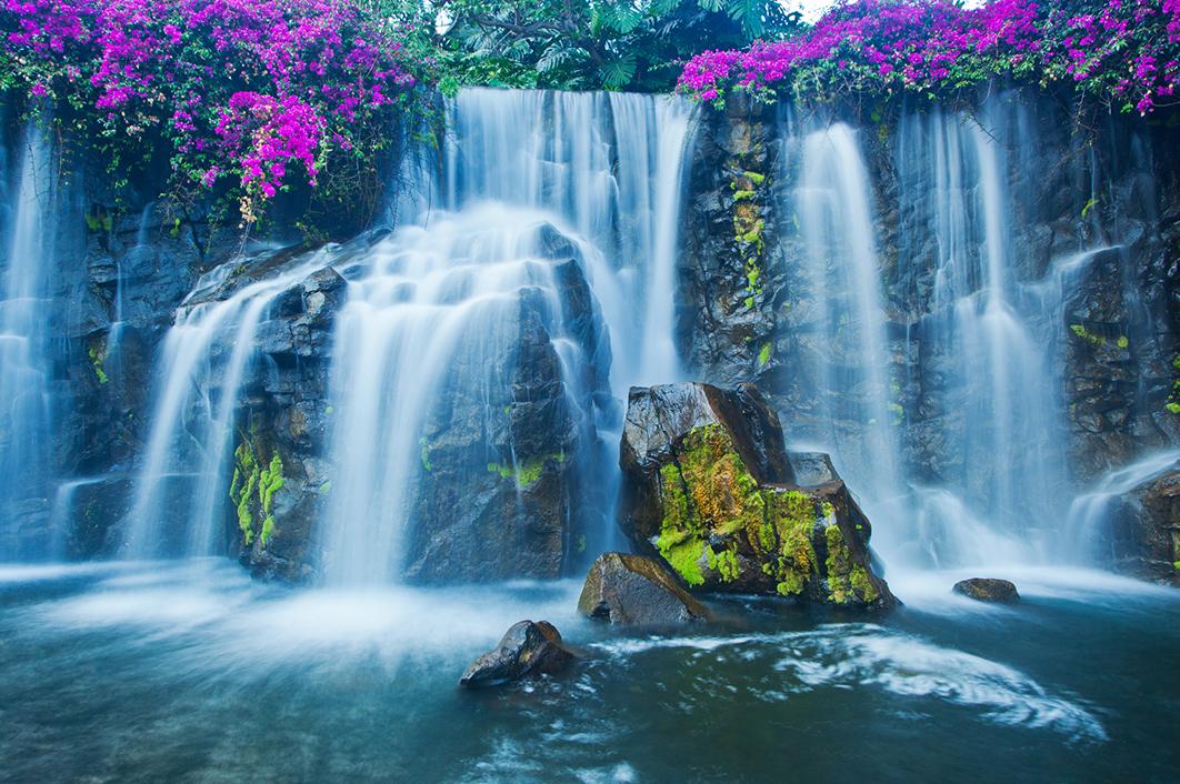 Visiting beautiful waterfalls on Hawaii cruises
