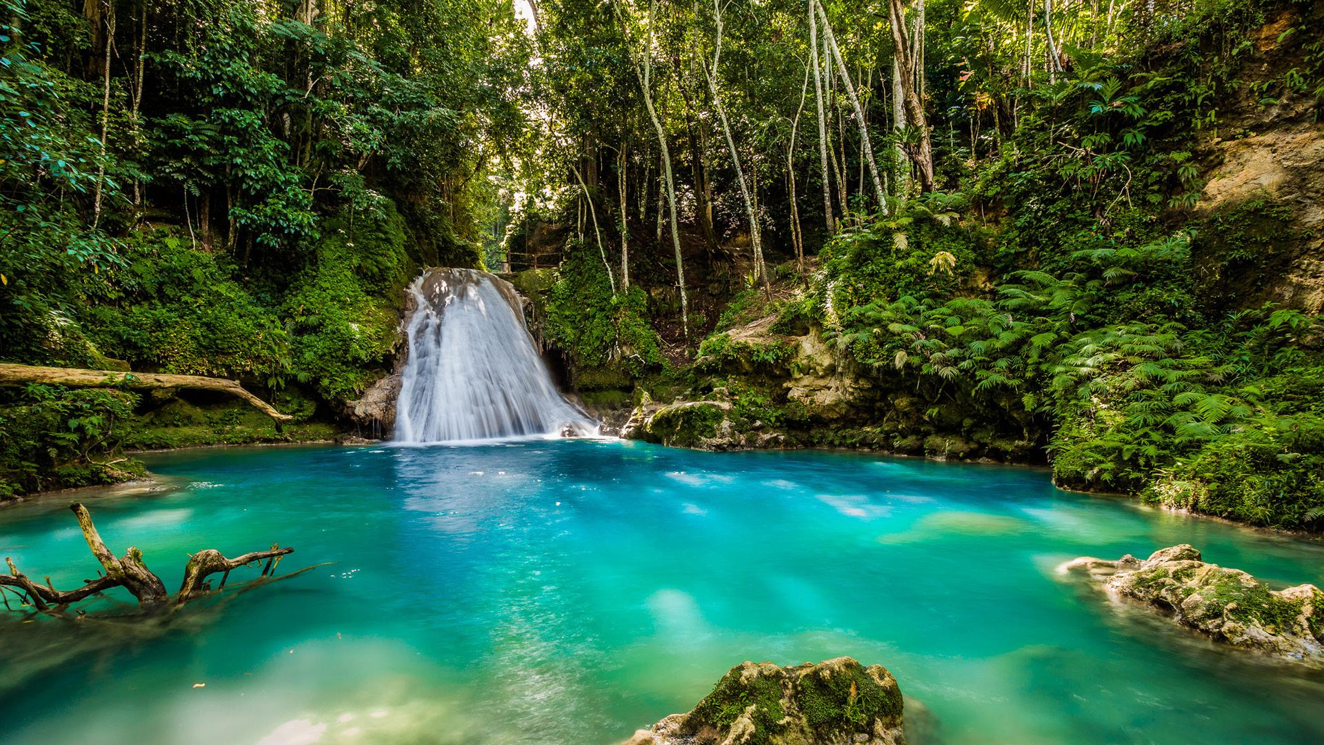 Waterfall flowing into a clear blue swimming hole in Jamaica