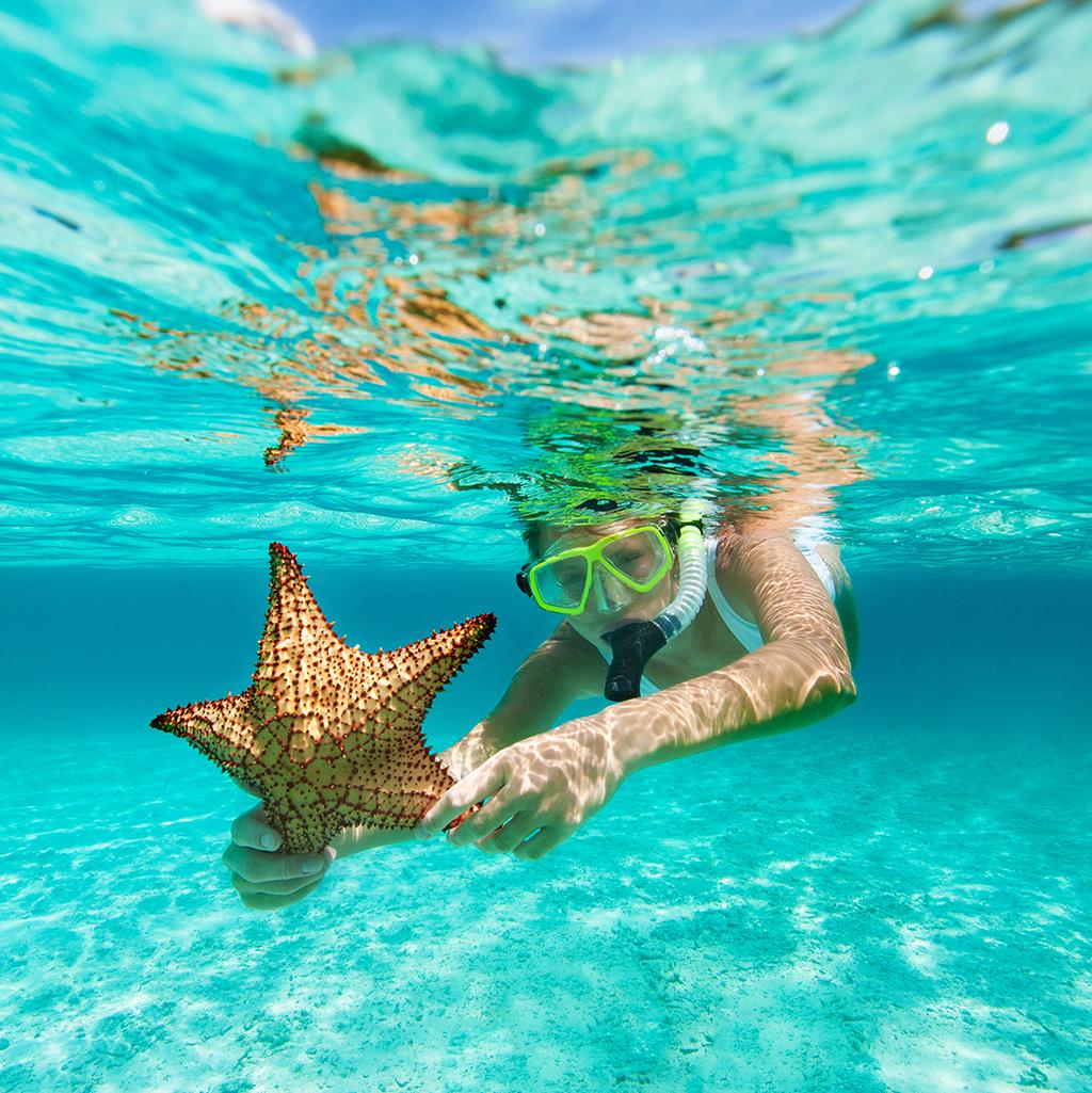 Snorkel with starfish on Maldives vacation packages