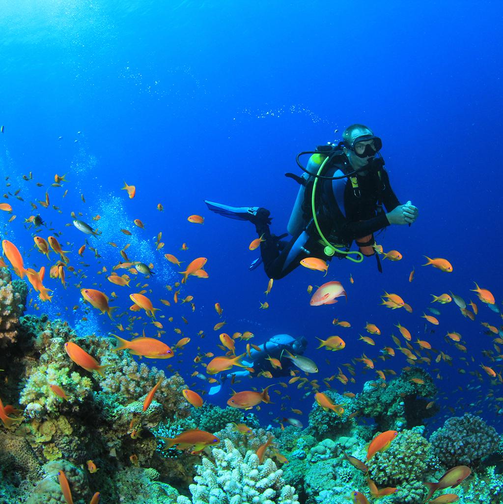 SCUBA diving in Nassau