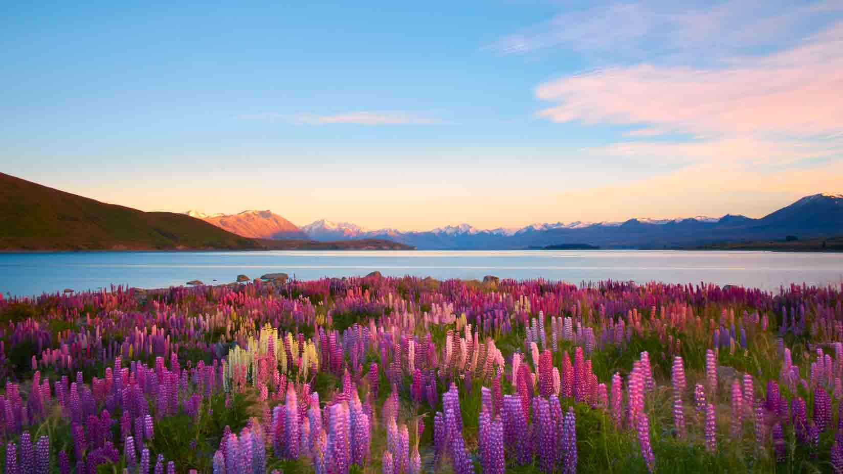 New Zealand vacations