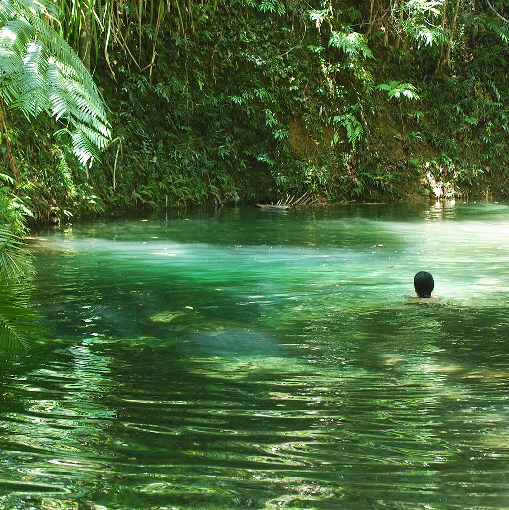Swimming hole in the rainforest of Port Douglas Australia