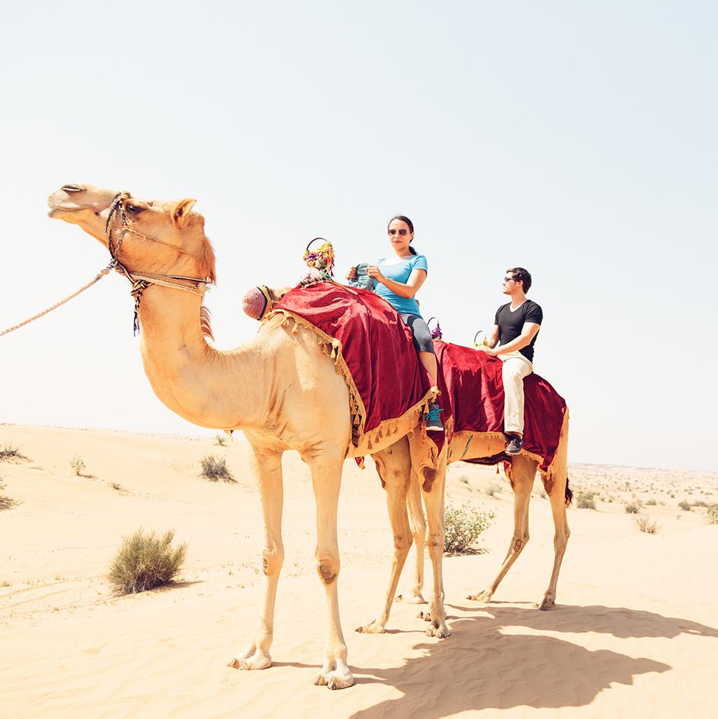 Camel riding tour with United Arab Emirates vacation packages