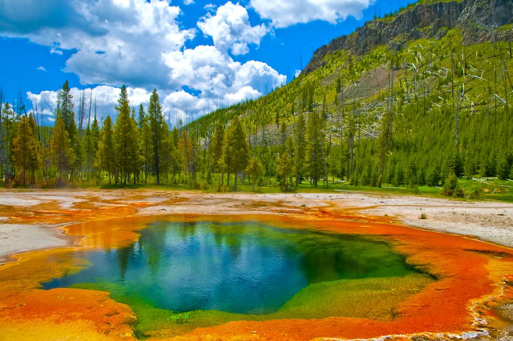 View geyser basins and wilderness with Yellowstone National Park tours