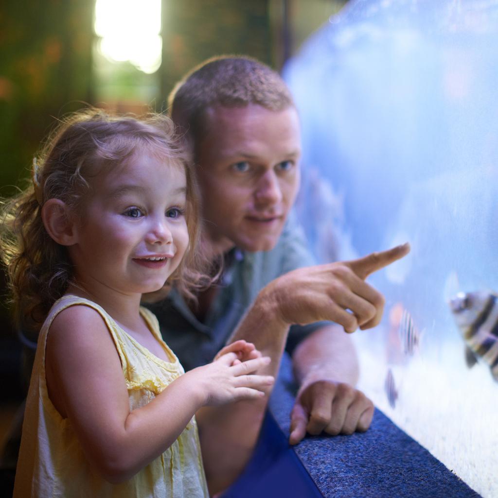 Parents and children visiting the New England Aquarium