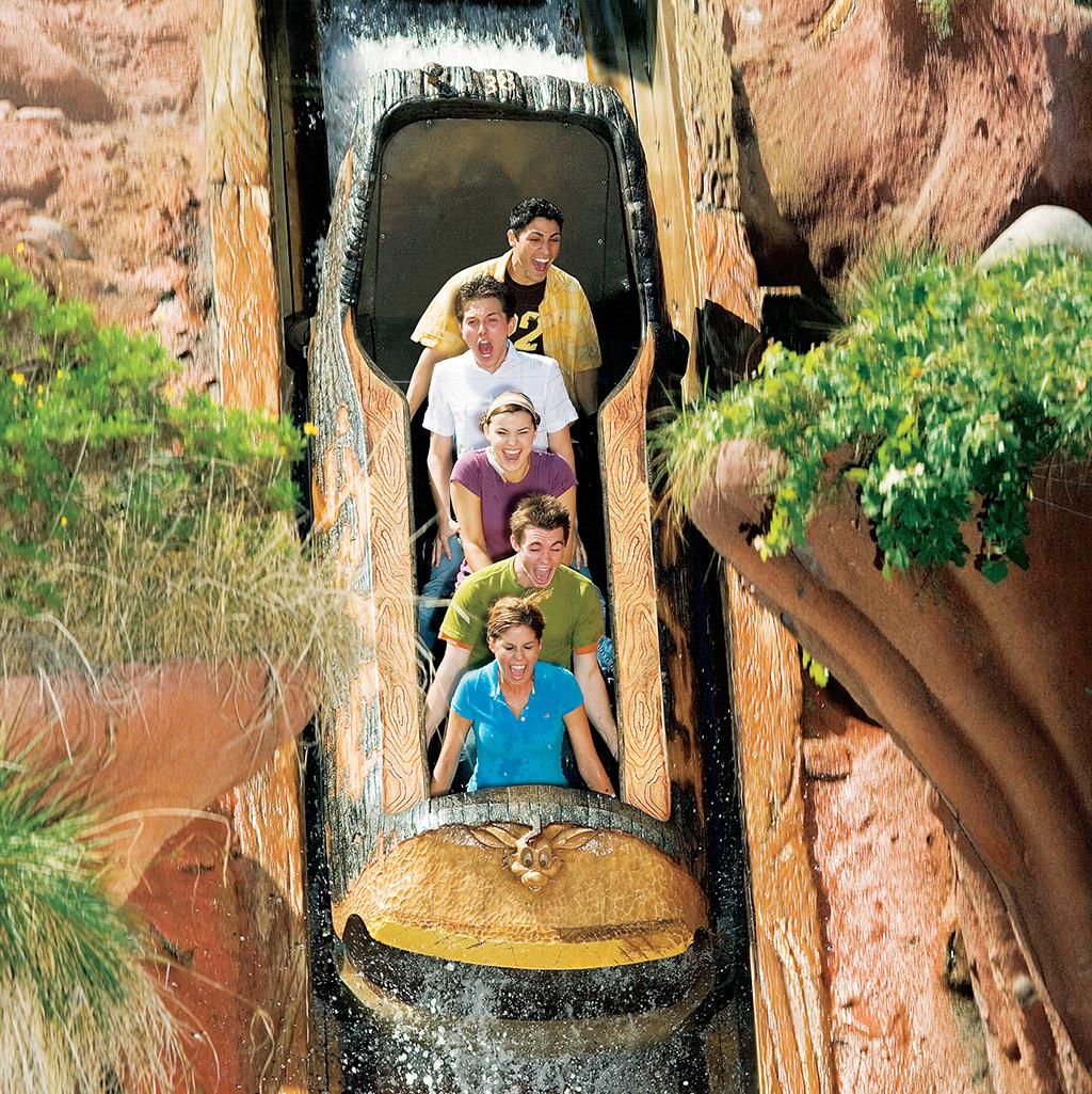 Ride rollercoasters and themed rides like Splash Mountain