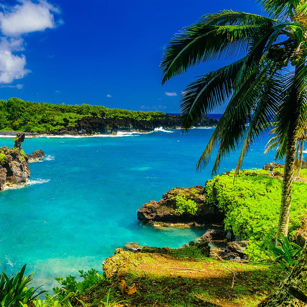 Hawaii Beach