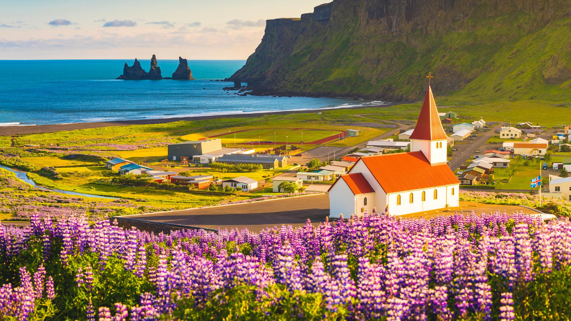 travel department iceland reviews