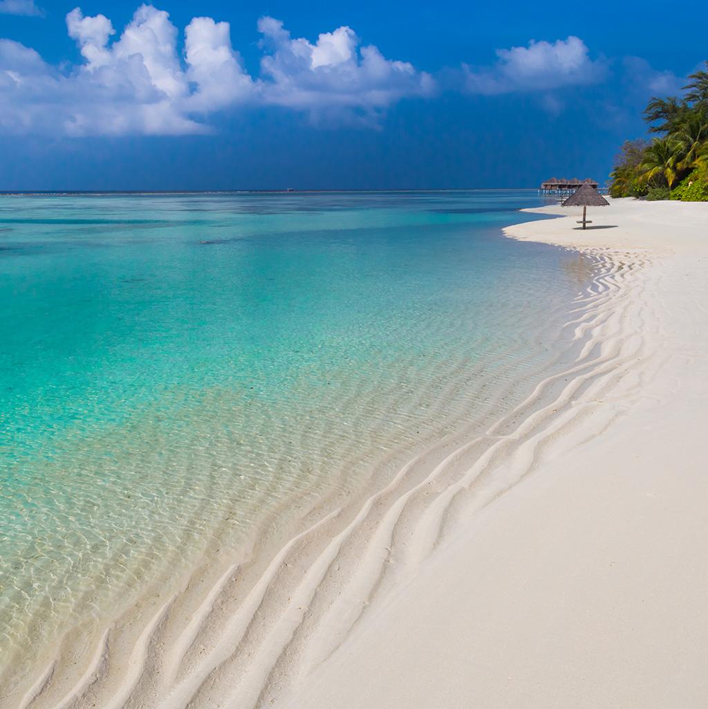 Enjoy the water's edge at the beach