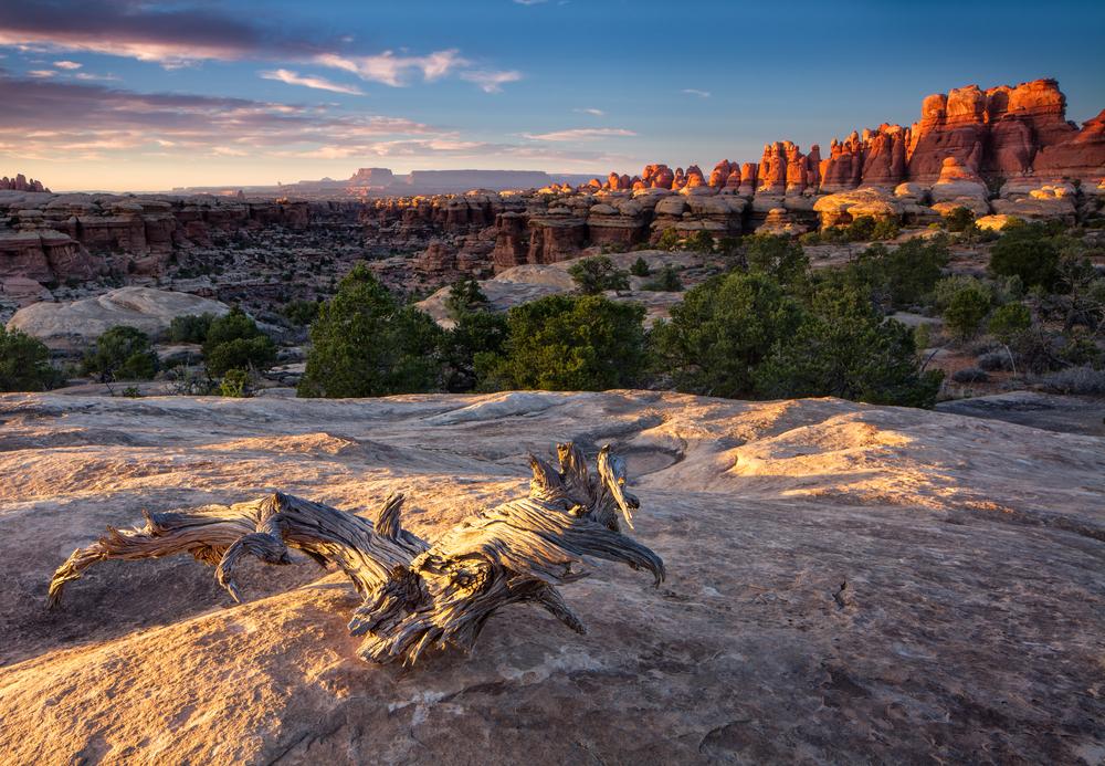 The Needles at Canyonlands