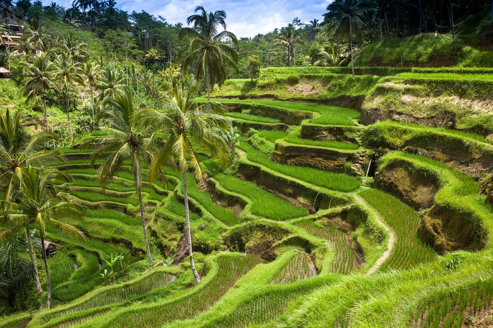 Bali, Indonesia